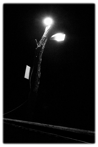 Street Lamp IV
