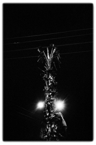 Street Lamp VI