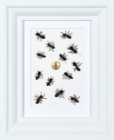 Ağustos böceği ile karıncanın hikayesi